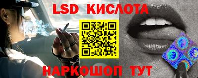 скорость Будённовск