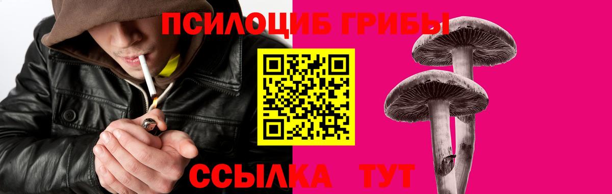 Галлюциногенные грибы прущие грибы  Вход с VPN  закладки  Галлюциногенные грибы Magic Shrooms  Ноябрьск 